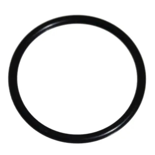 Thermostat O Ring - Aftermarket