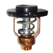 Thermostat - OEM