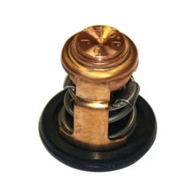 Thermostat OEM - OEM