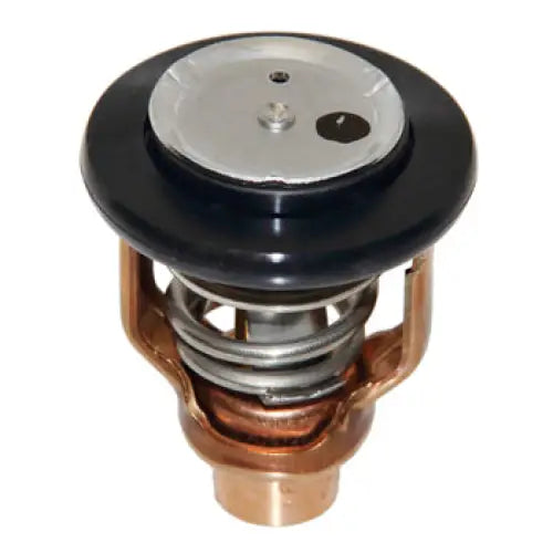 Thermostat - OEM