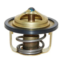 Thermostat - OEM