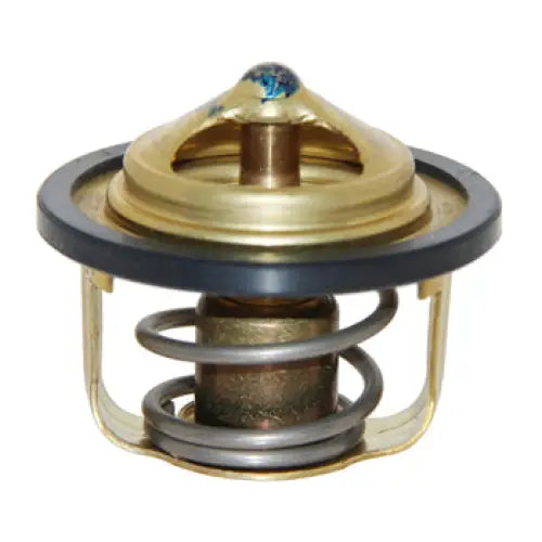 Thermostat - OEM