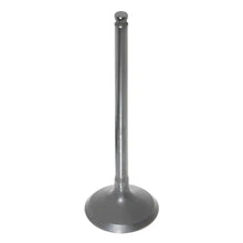 Valve Exhaust OEM - OEM