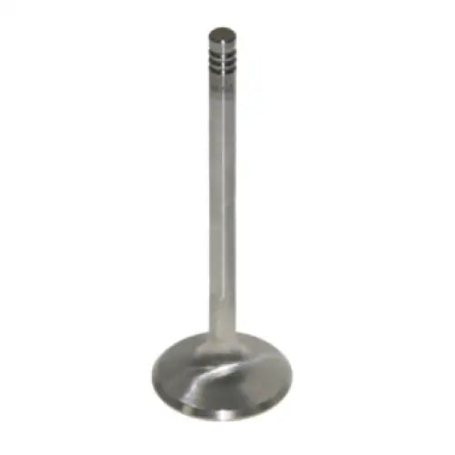 Valve Exhaust-Standard - Aftermarket