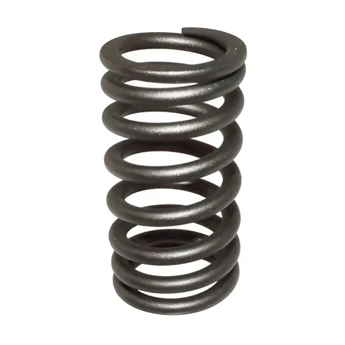 Valve Spring OEM - OEM