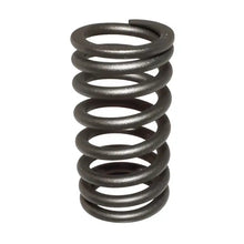 Valve Spring OEM - OEM